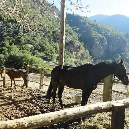 Appartamento Archontiko *