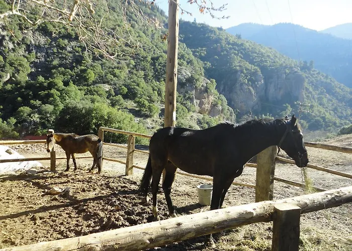 Apartamento Archontiko *